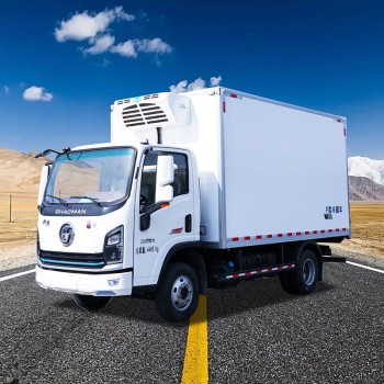 Shacman 4X2 4.2m Refrigerated Truck for Transporting Meat