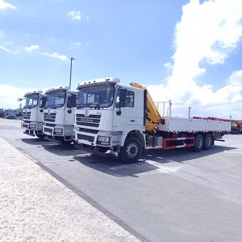 China Factory Shacman 12 tons Hydraulic Mobile Truck Crane